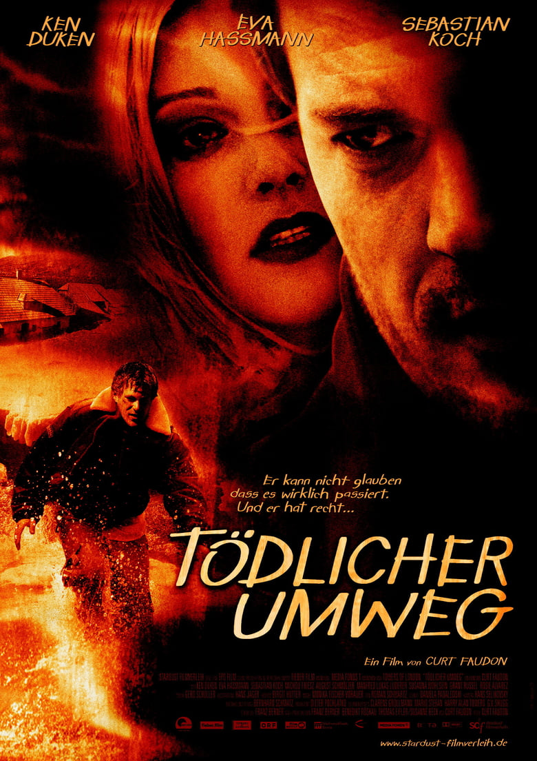 affiche du film Tödlicher Umweg