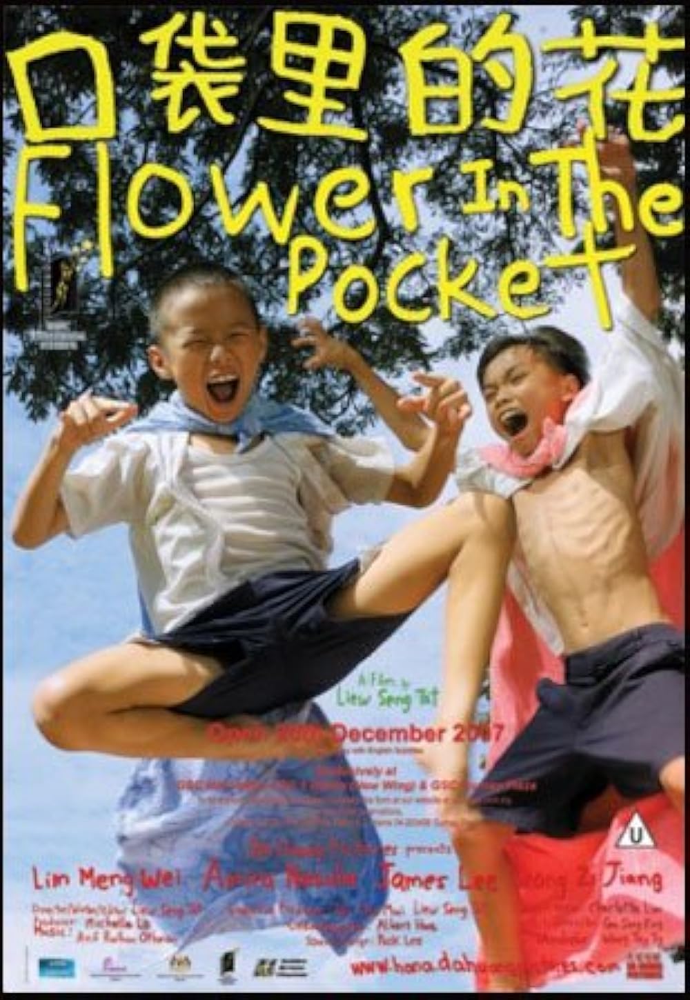 affiche du film Flower in the Pocket