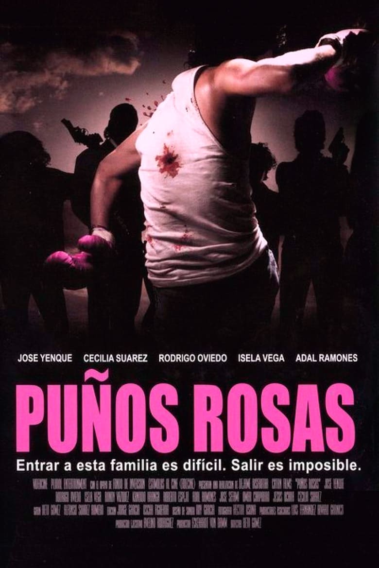 affiche du film Puños rosas