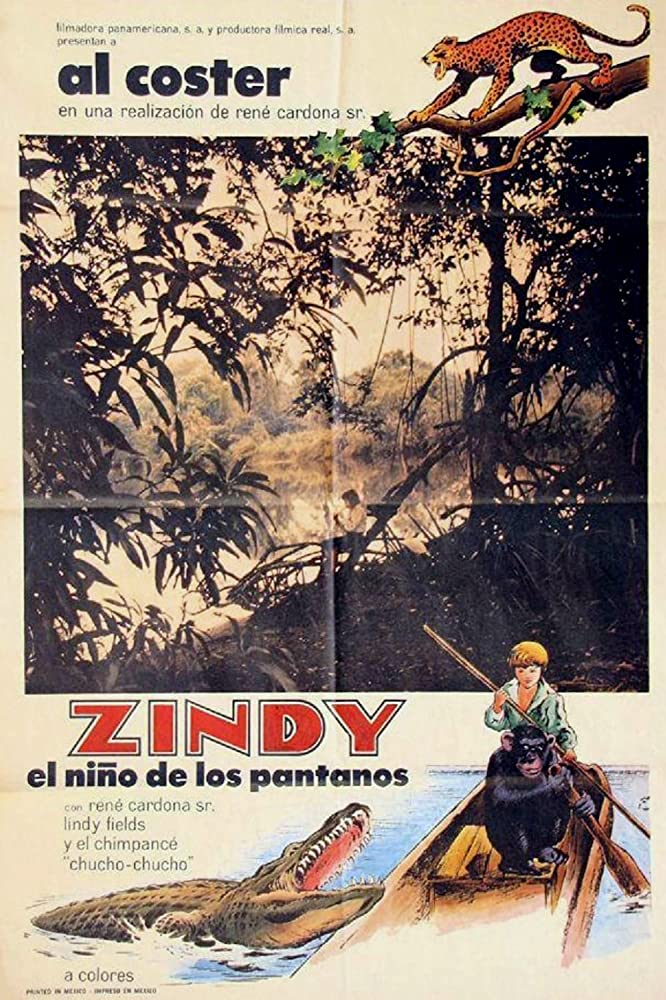 affiche du film Zindy, el niño de los pantanos