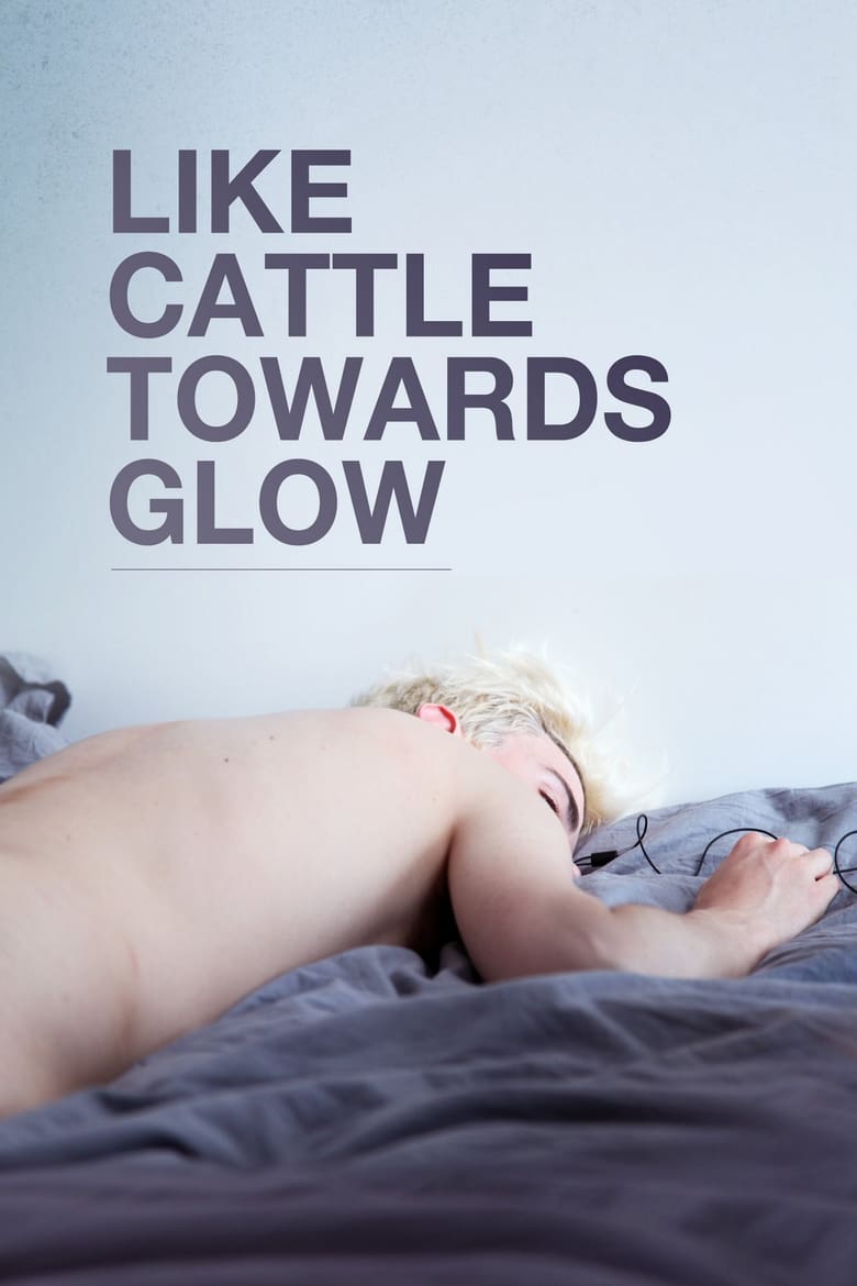affiche du film Like Cattle Towards Glow