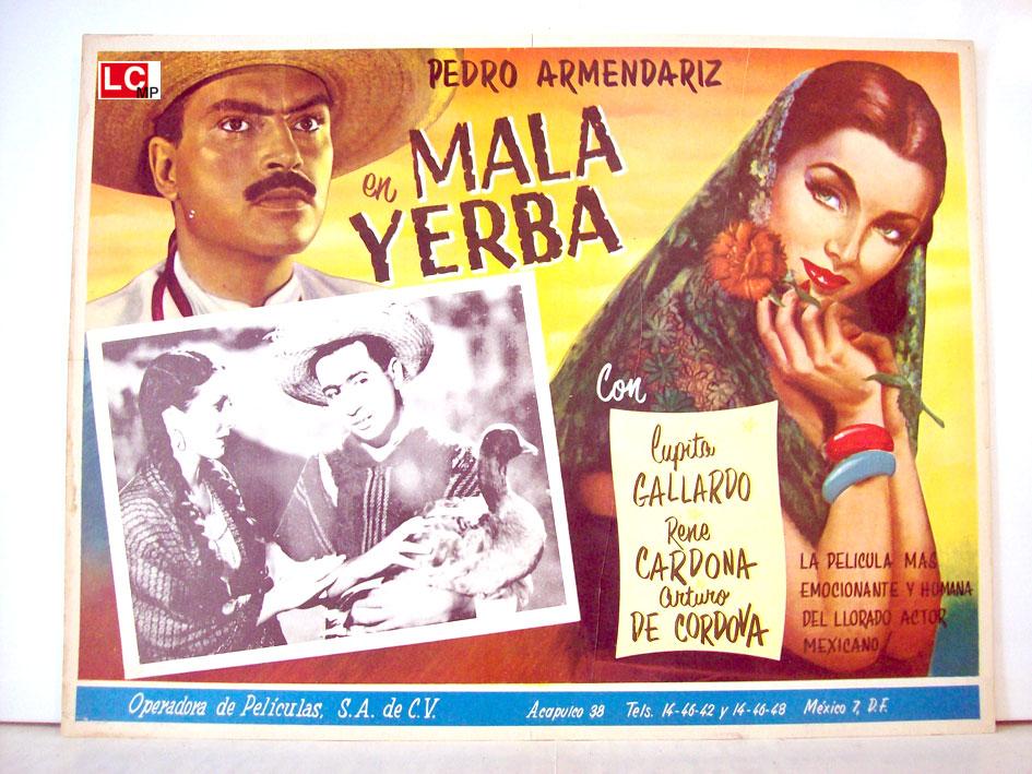 affiche du film Mala yerba