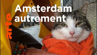 affiche du film Amsterdam sauvage : Suivez le chat !