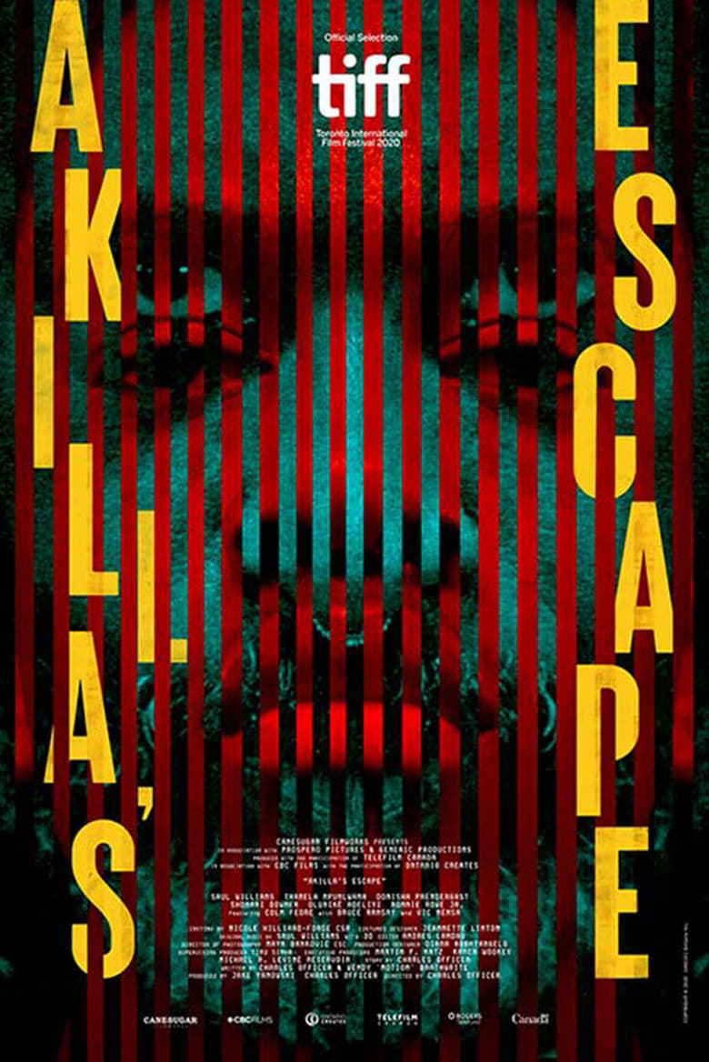 affiche du film Akilla's Escape