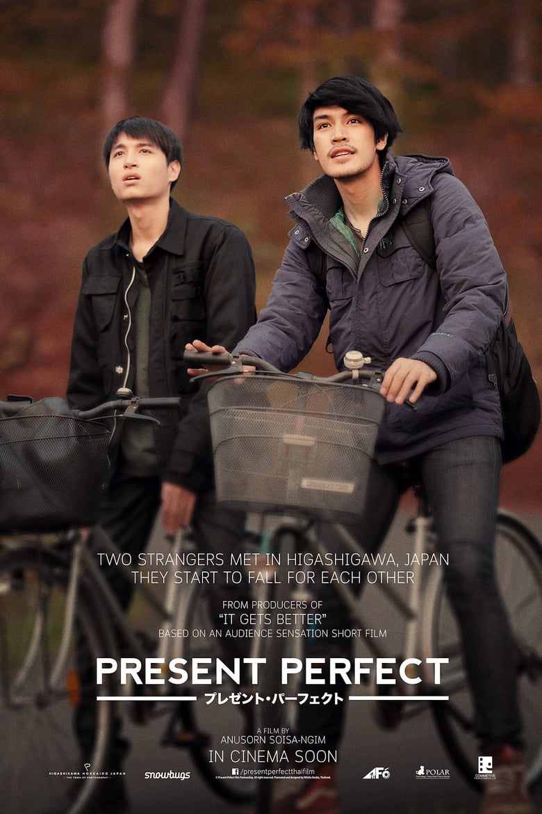 affiche du film Present Perfect