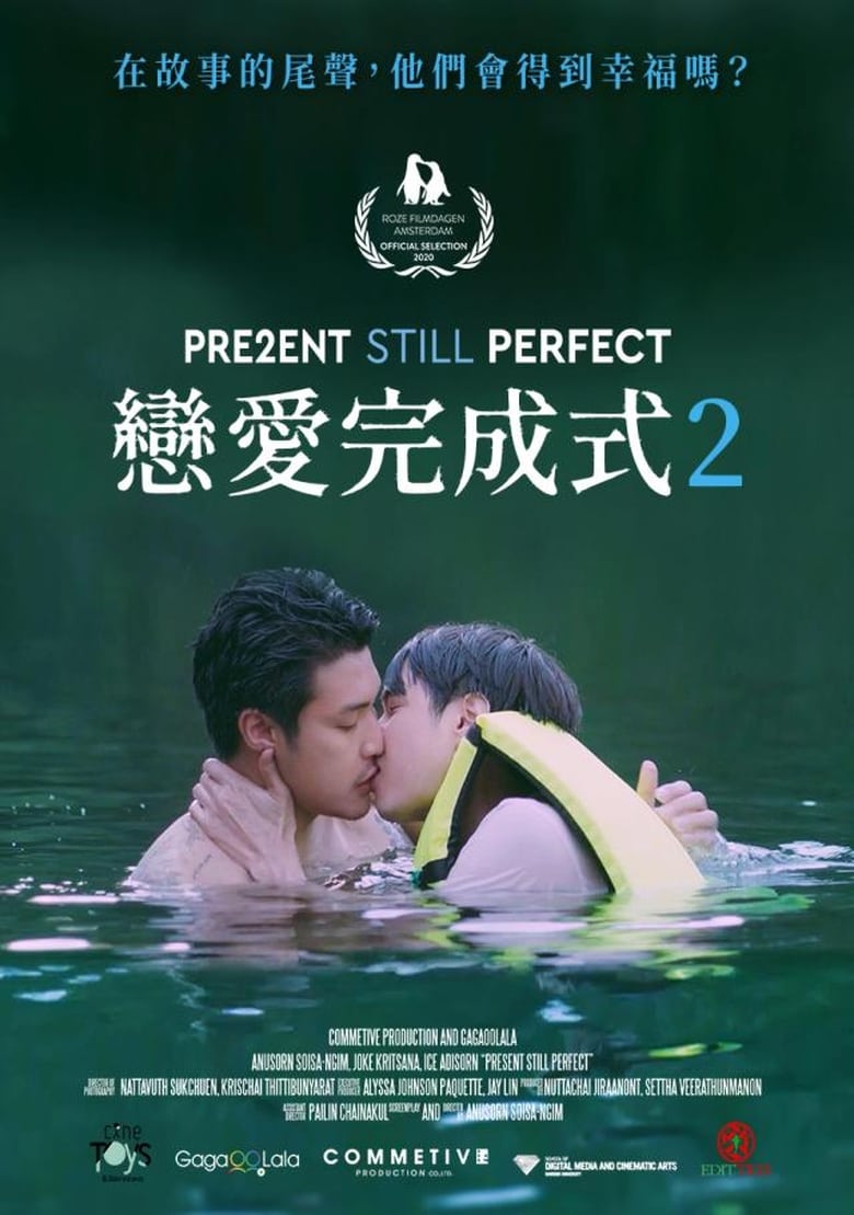 affiche du film Present Still Perfect