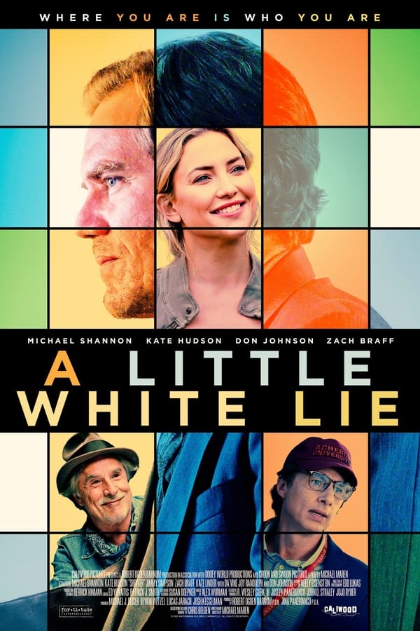 affiche du film A Little White Lie