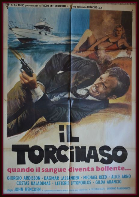 affiche du film Il torcinaso