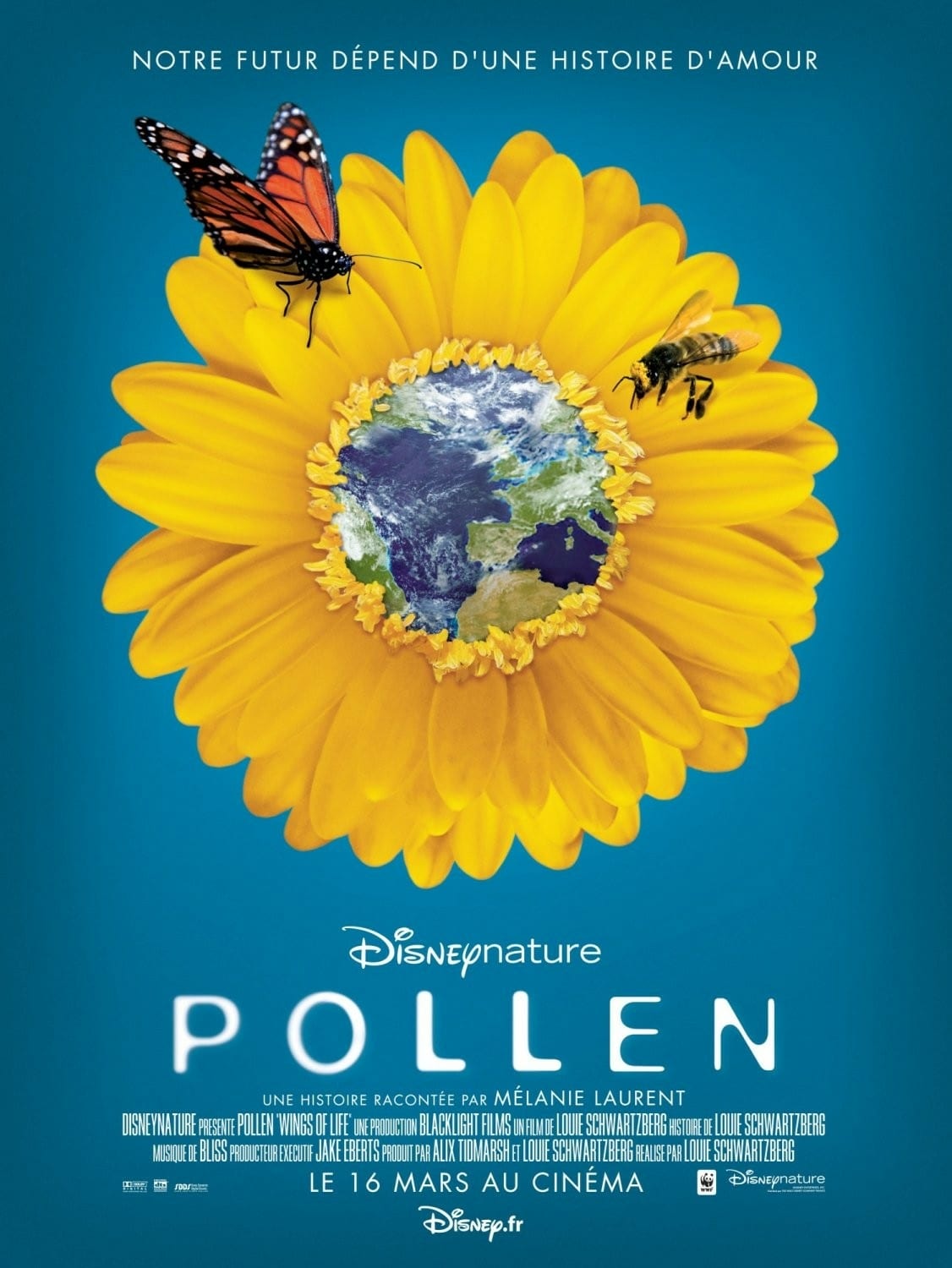 affiche du film Pollen