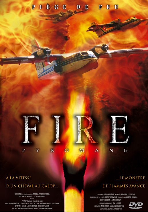 affiche du film Fire: Pyromane