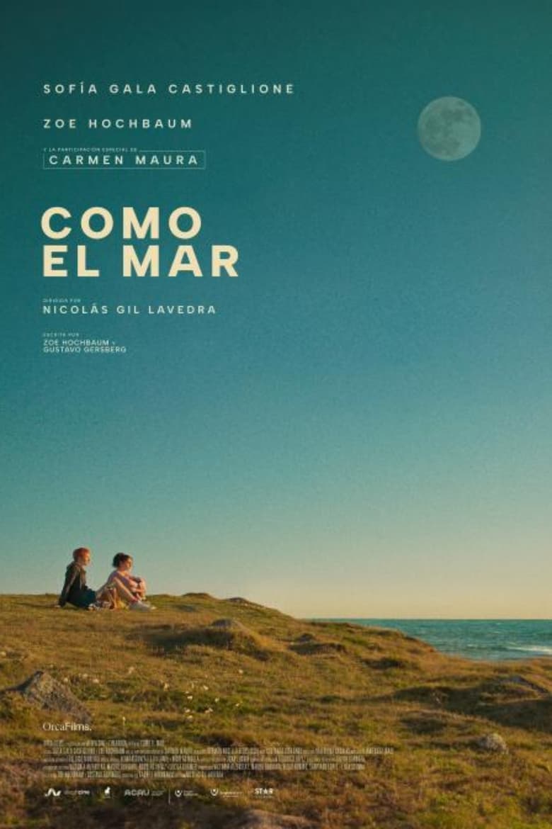 affiche du film Como el mar