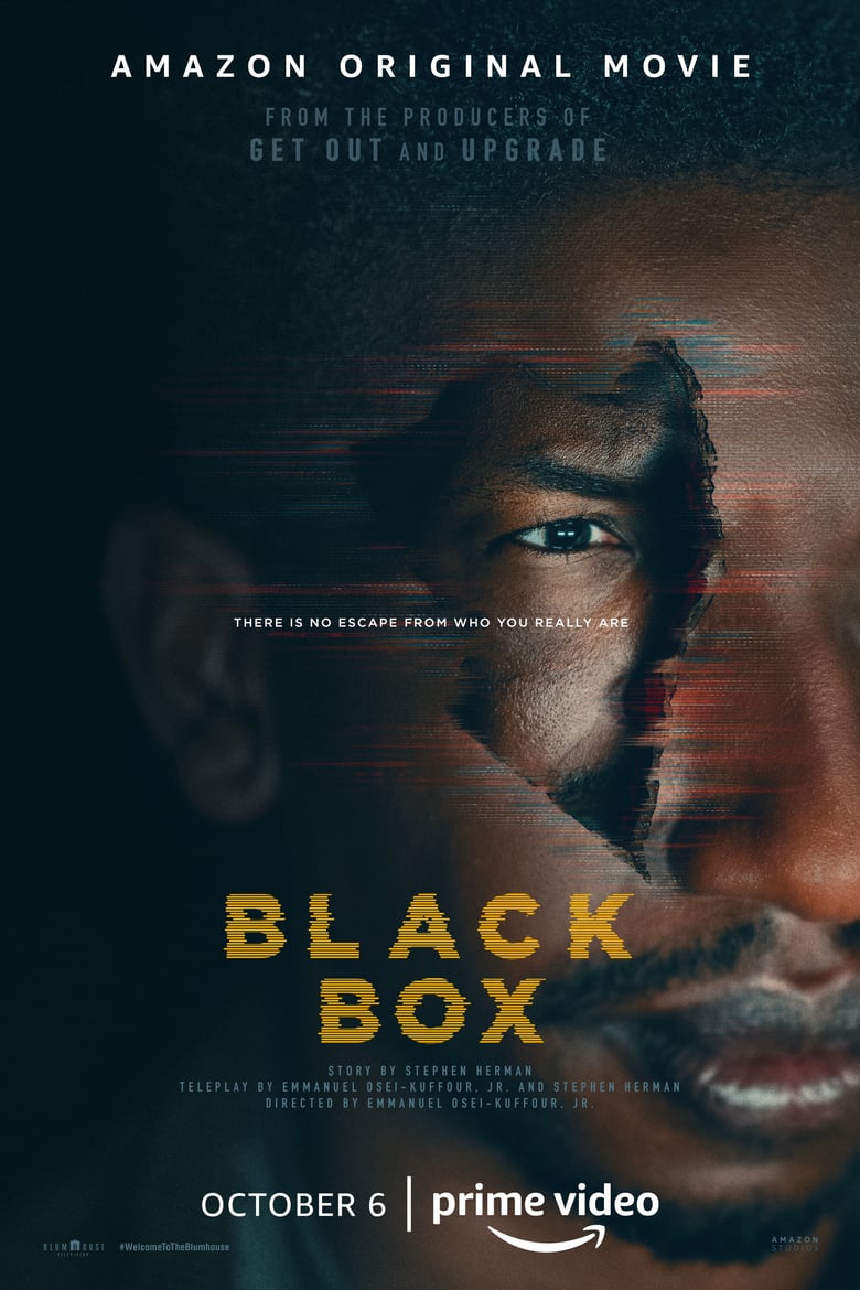 affiche du film La Black Box