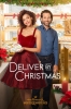 Ma belle inconnue de Noël (Deliver by Christmas)