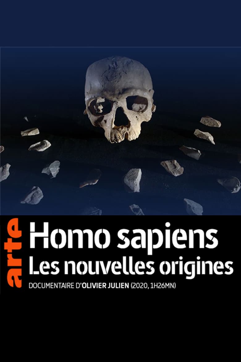 affiche du film Homo sapiens, les nouvelles origines