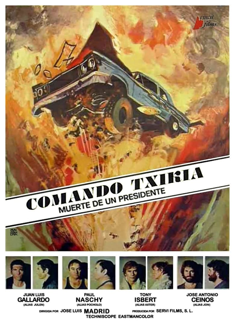 affiche du film Comando Txikia: Muerte de un presidente