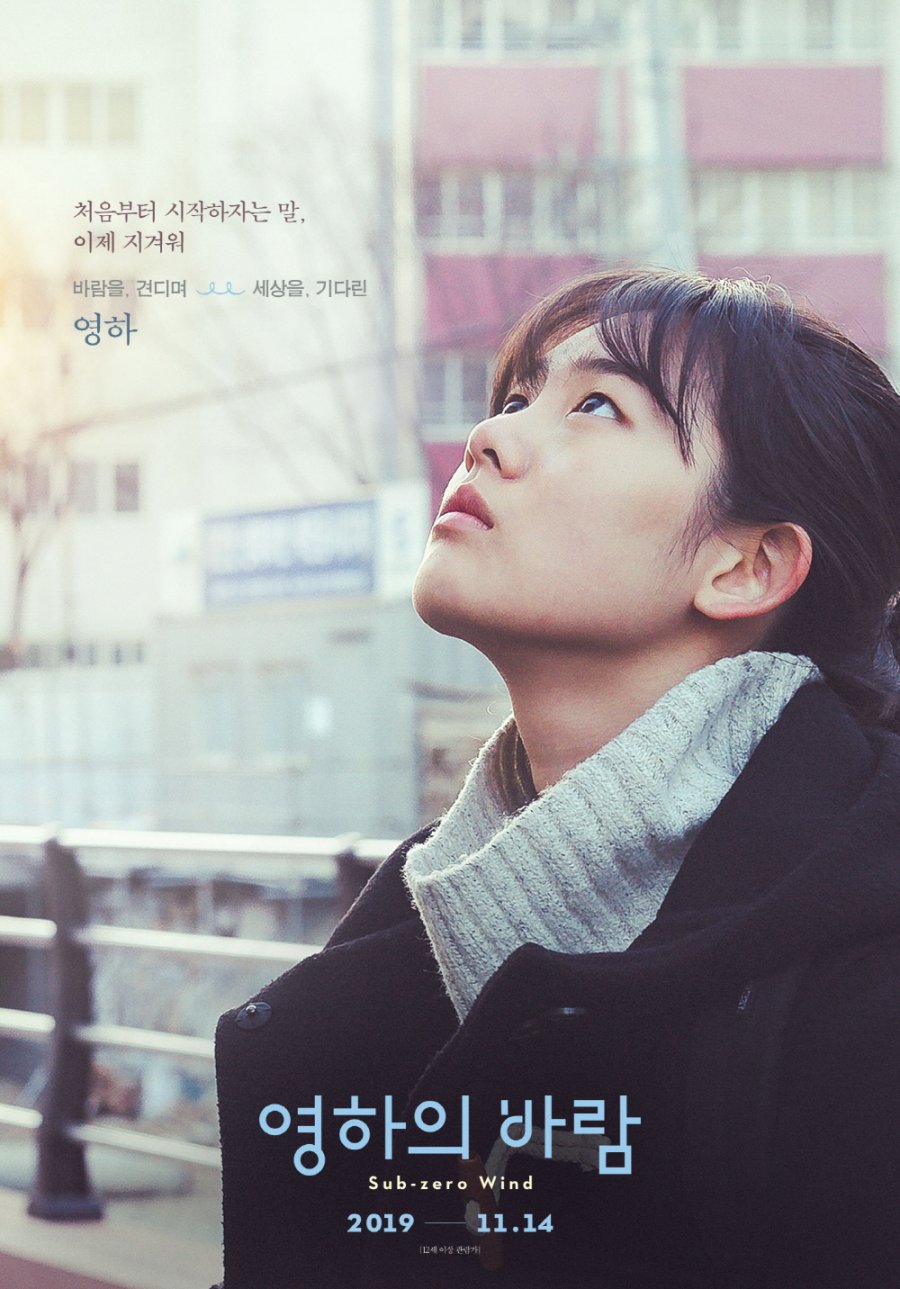 affiche du film Sub-zero Wind