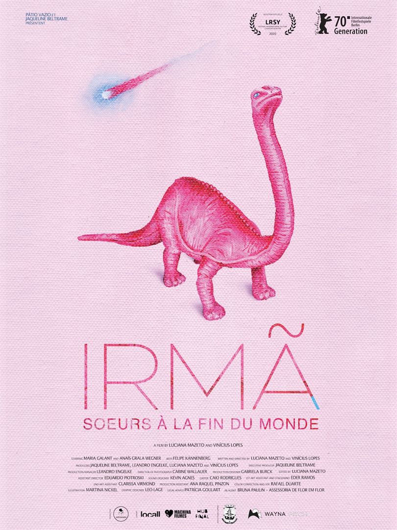 affiche du film Irmã