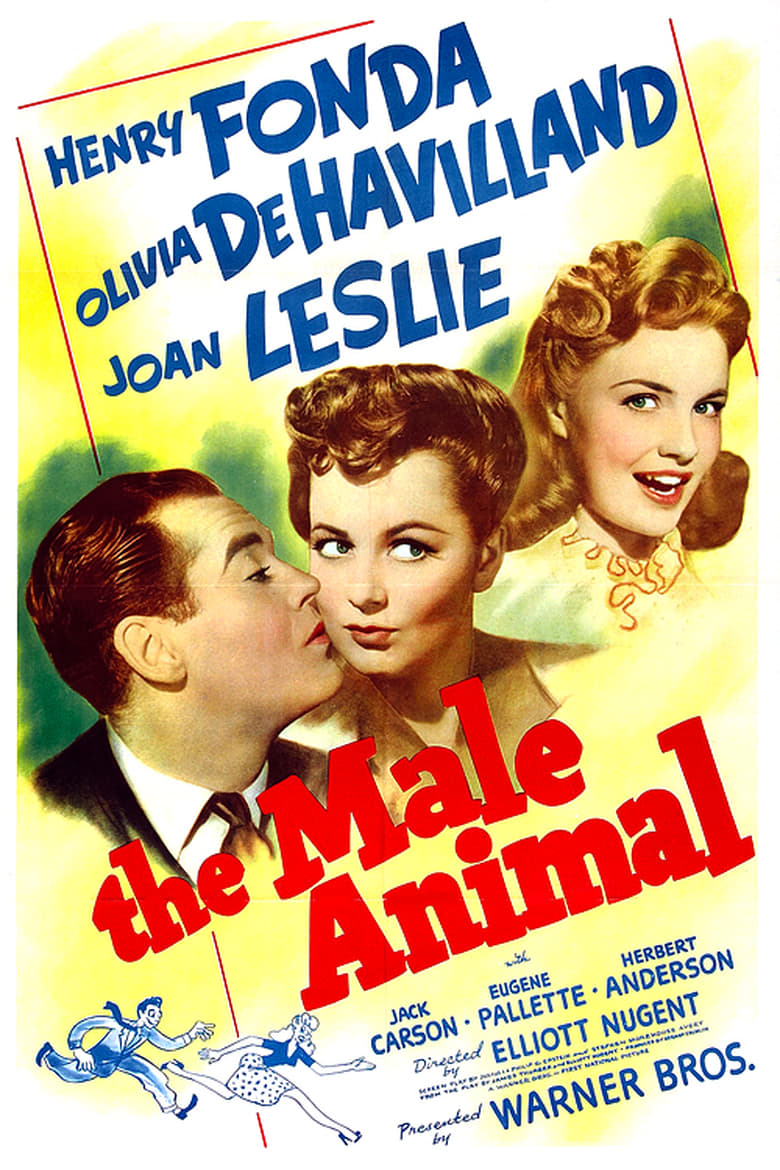 affiche du film The Male Animal