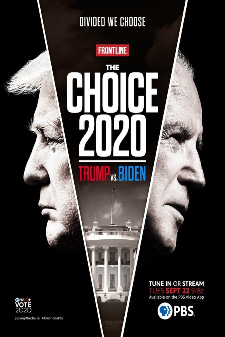 affiche du film Quel président pour l'Amérique ? Trump contre Biden