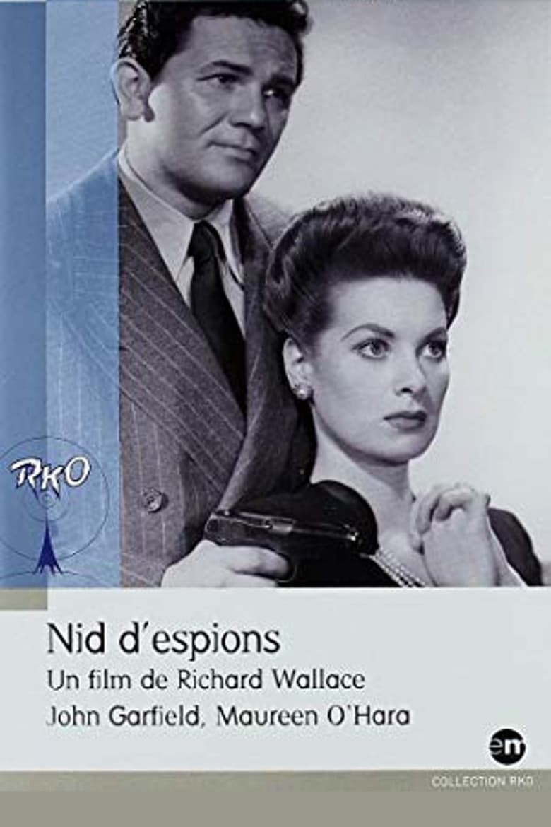 affiche du film Nid d'espions