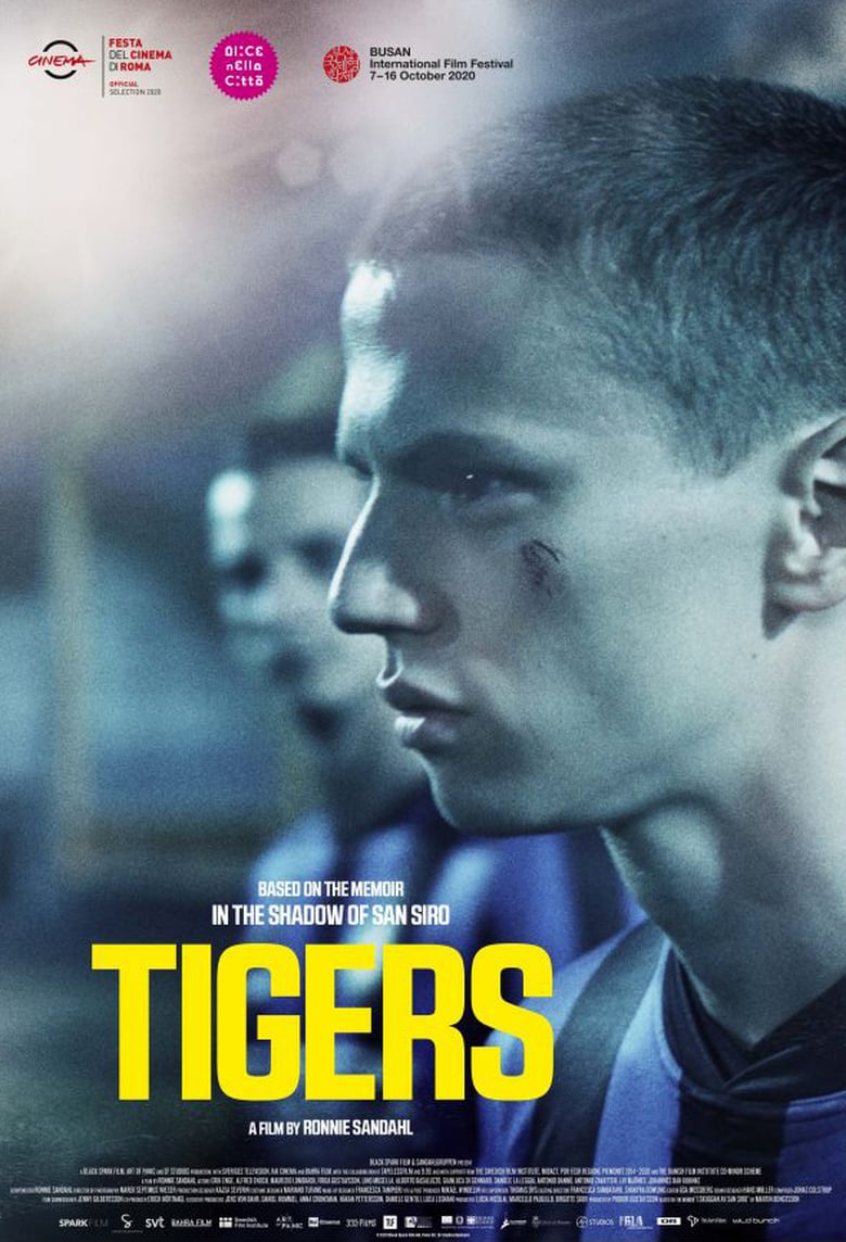 affiche du film Tigers