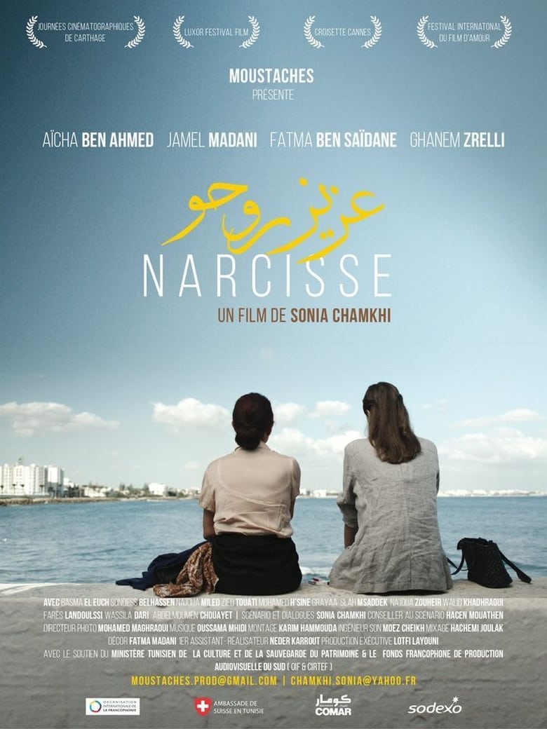 affiche du film Narcisse
