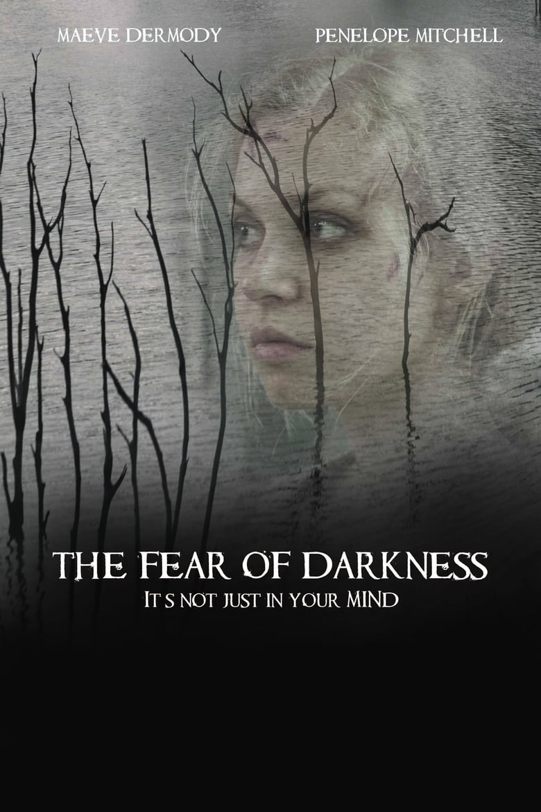 affiche du film The Fear of Darkness