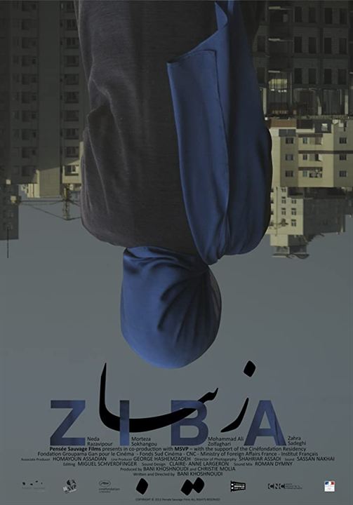 affiche du film Ziba