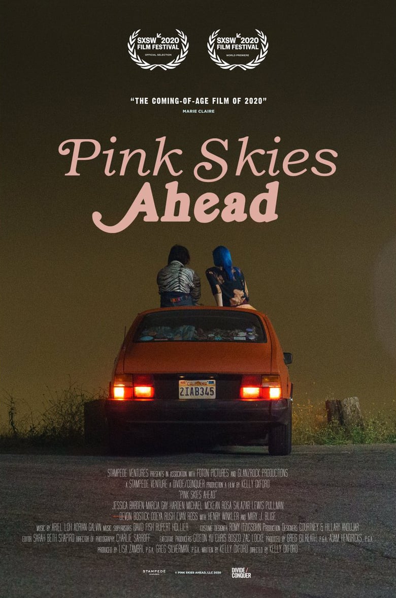 affiche du film Pink Skies Ahead