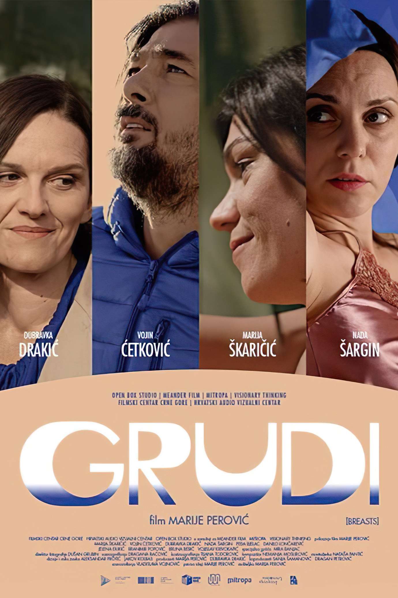 affiche du film Grudi