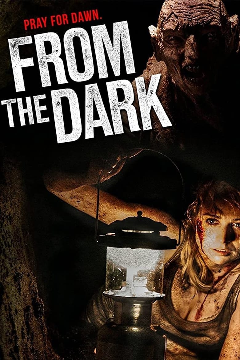 affiche du film From the Dark
