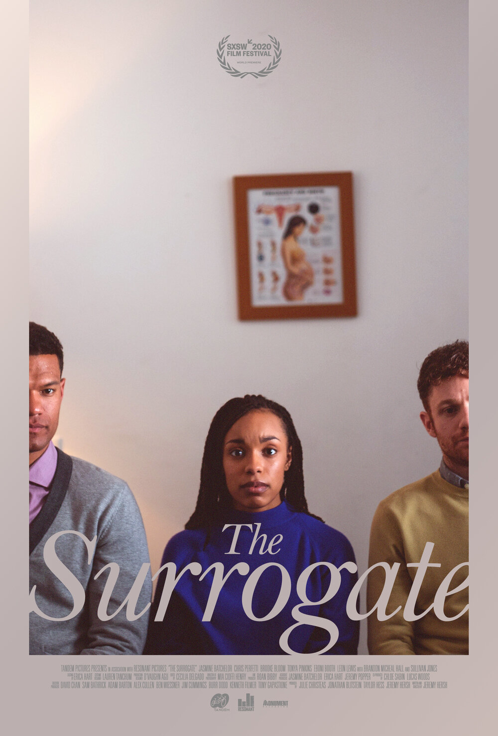 affiche du film The Surrogate