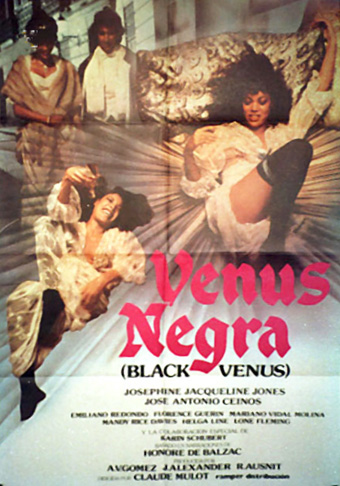 affiche du film La vénus noire