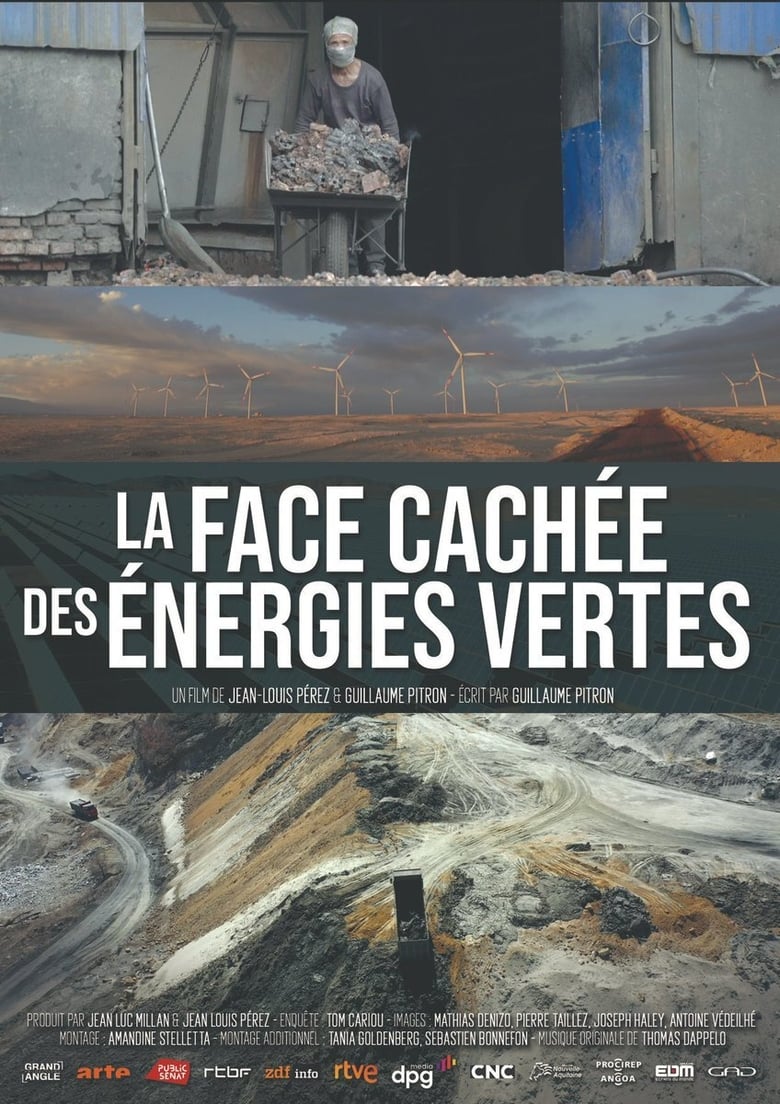 affiche du film La face cachée des énergies vertes