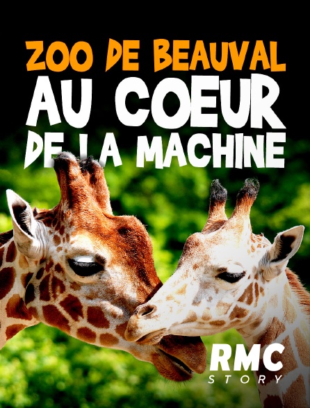 affiche du film Zoo de Beauval : au cœur de la machine