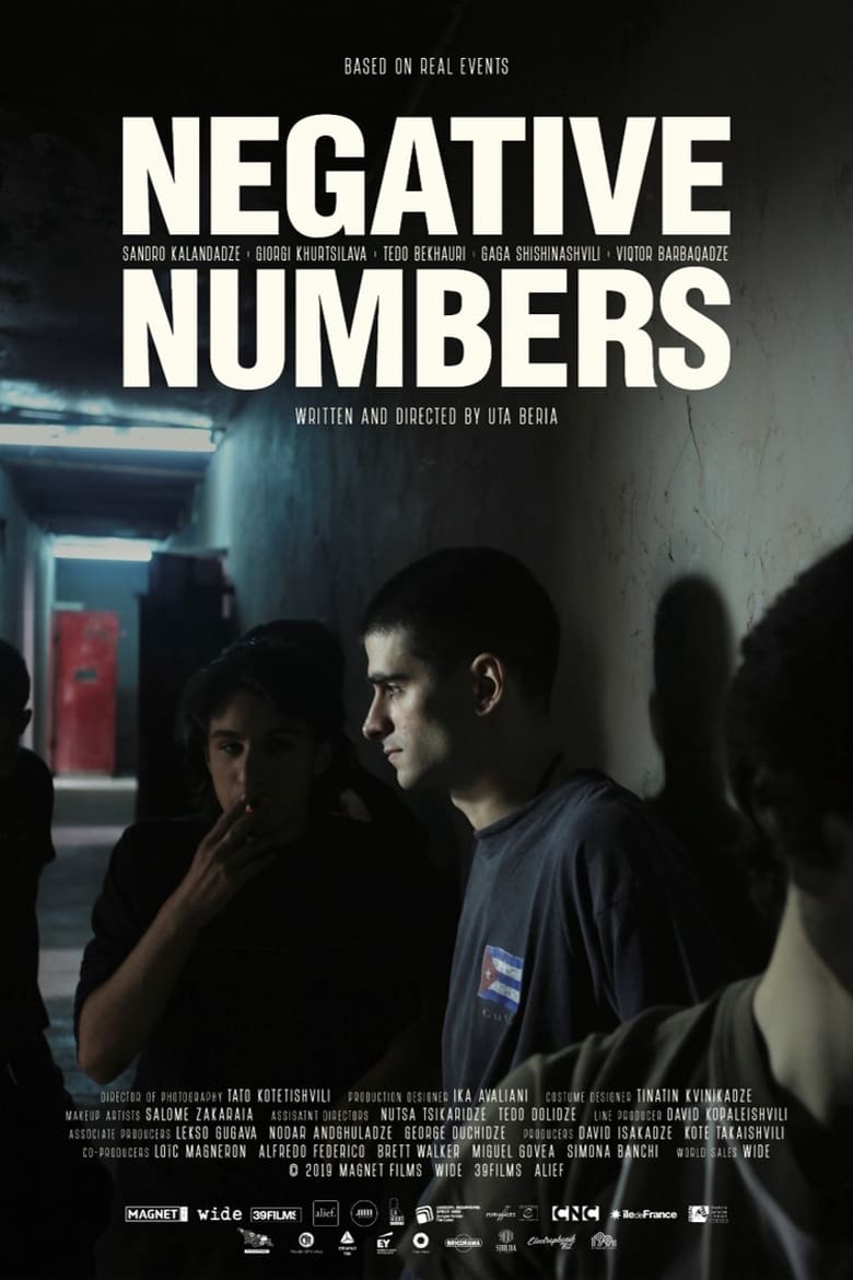 affiche du film Negative Numbers