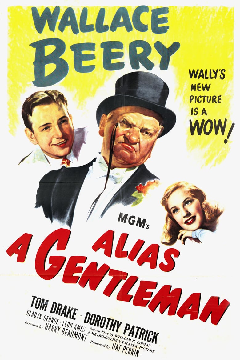 affiche du film Alias a Gentleman