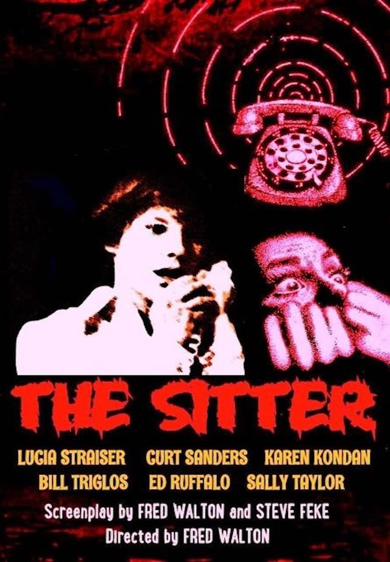affiche du film The Sitter