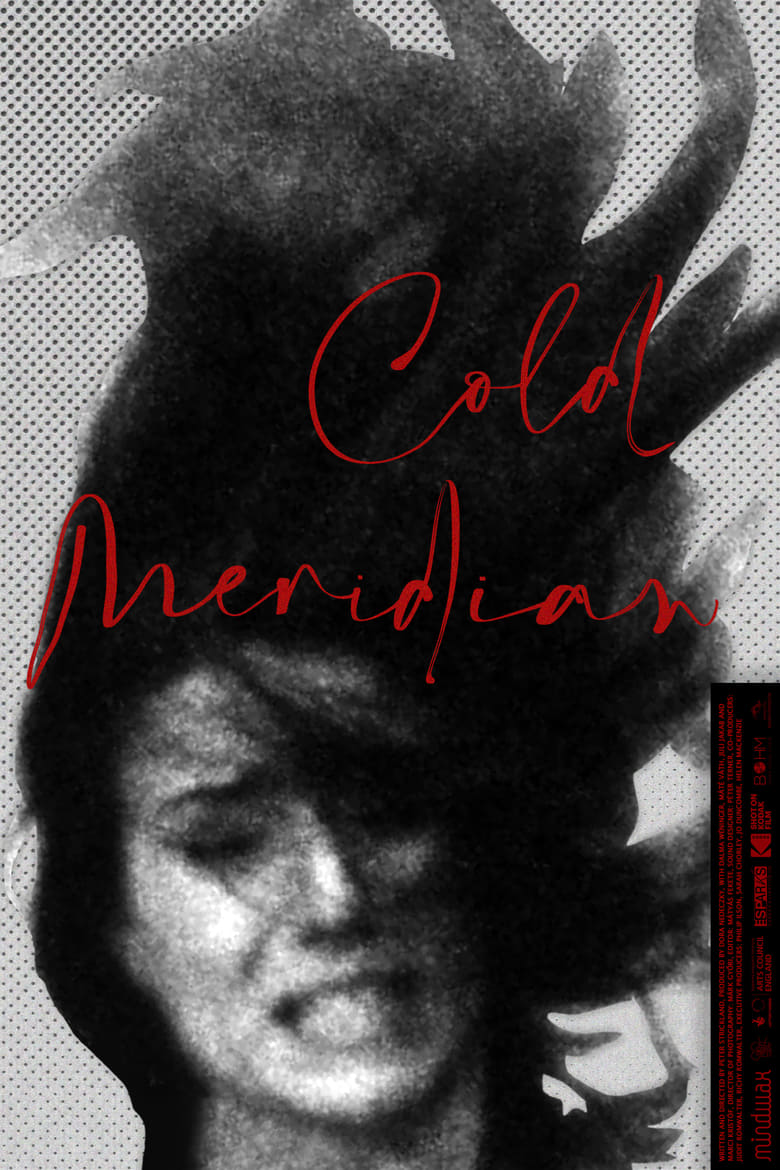 affiche du film Cold Meridian
