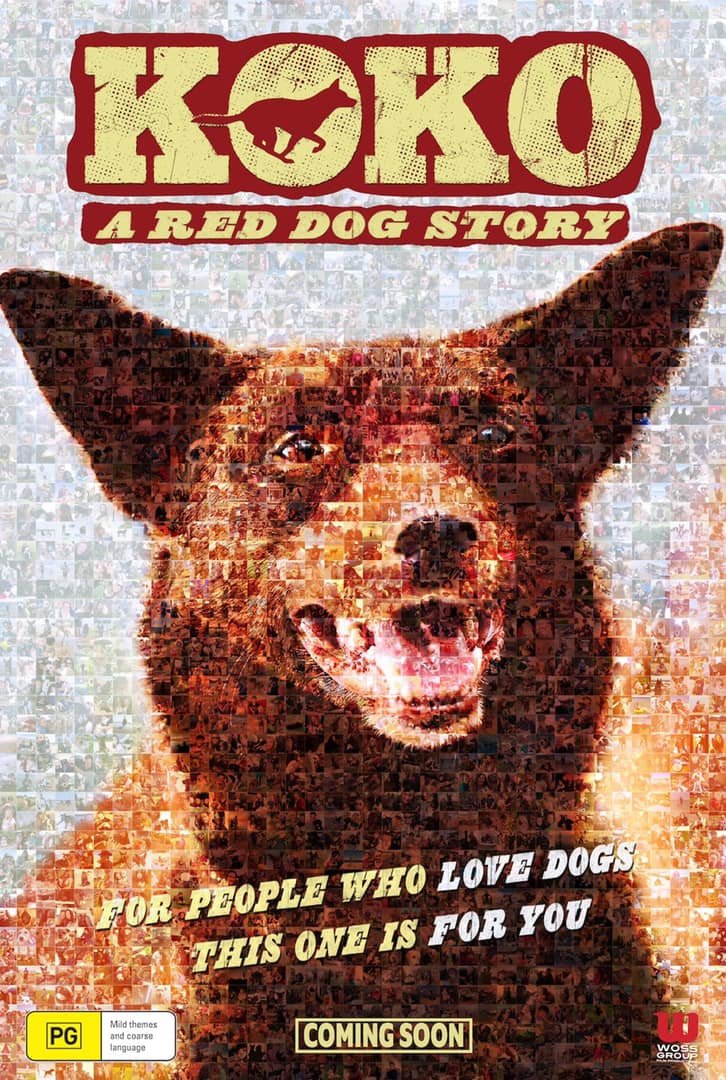 affiche du film Koko: A Red Dog Story