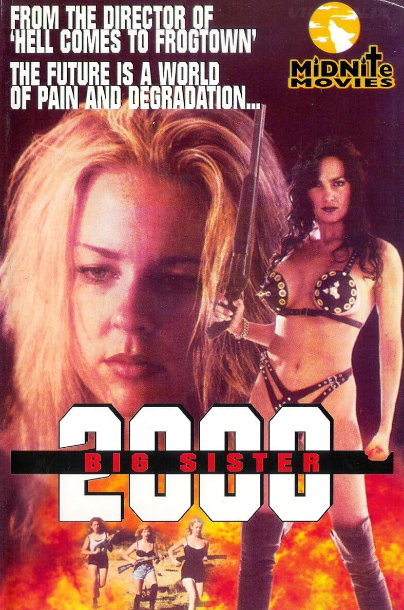 affiche du film Big Sister 2000