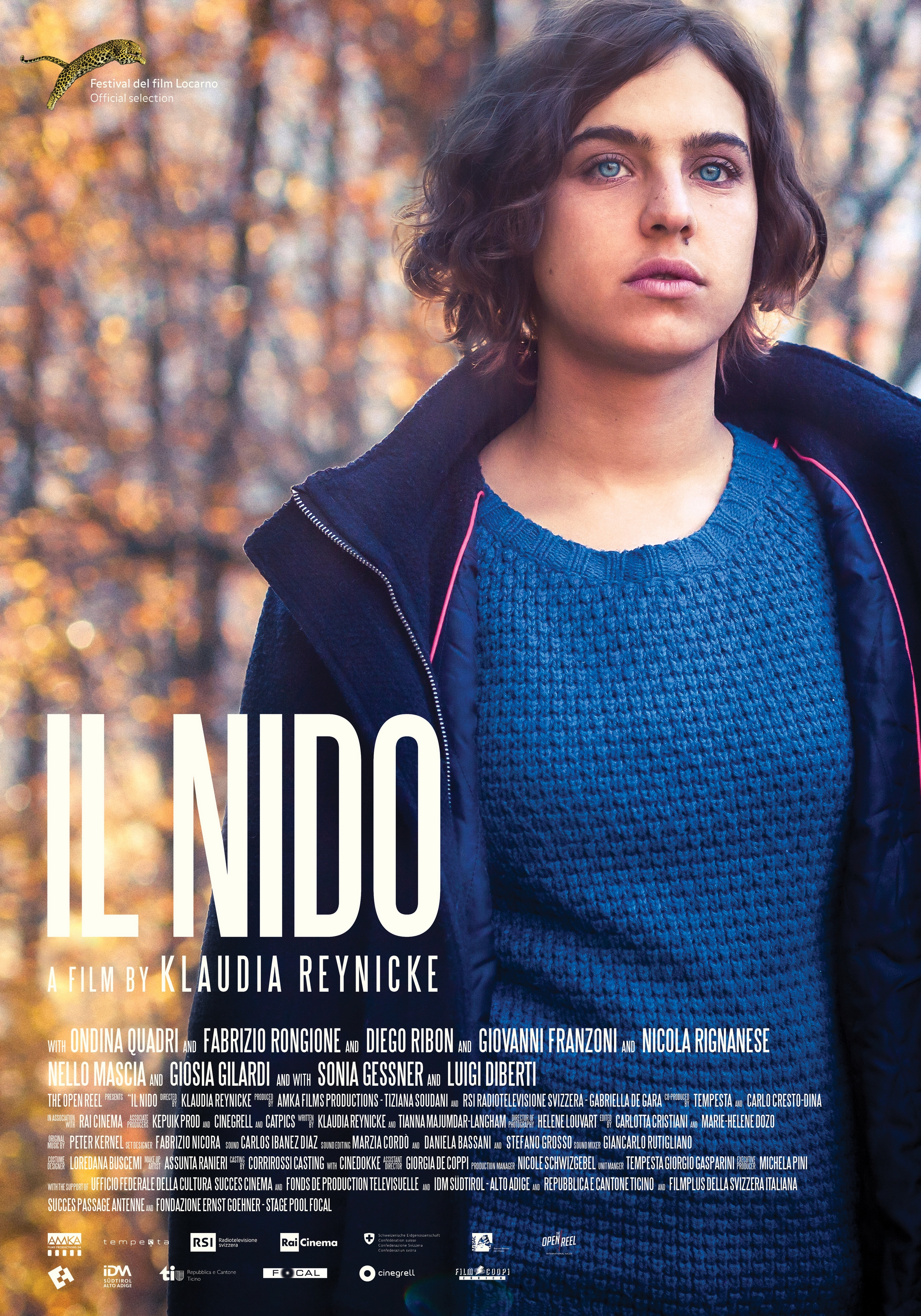 affiche du film Il Nido
