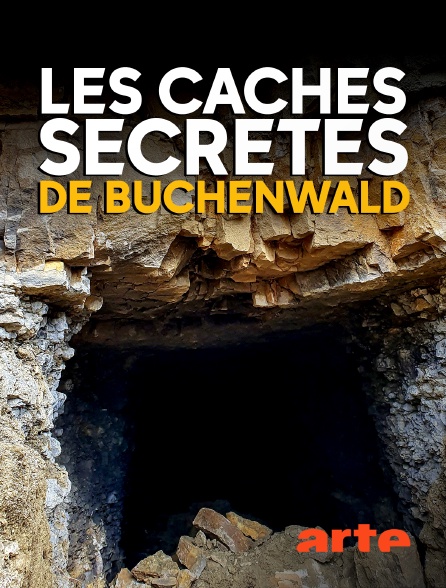 affiche du film Les caches secrètes de Buchenwald