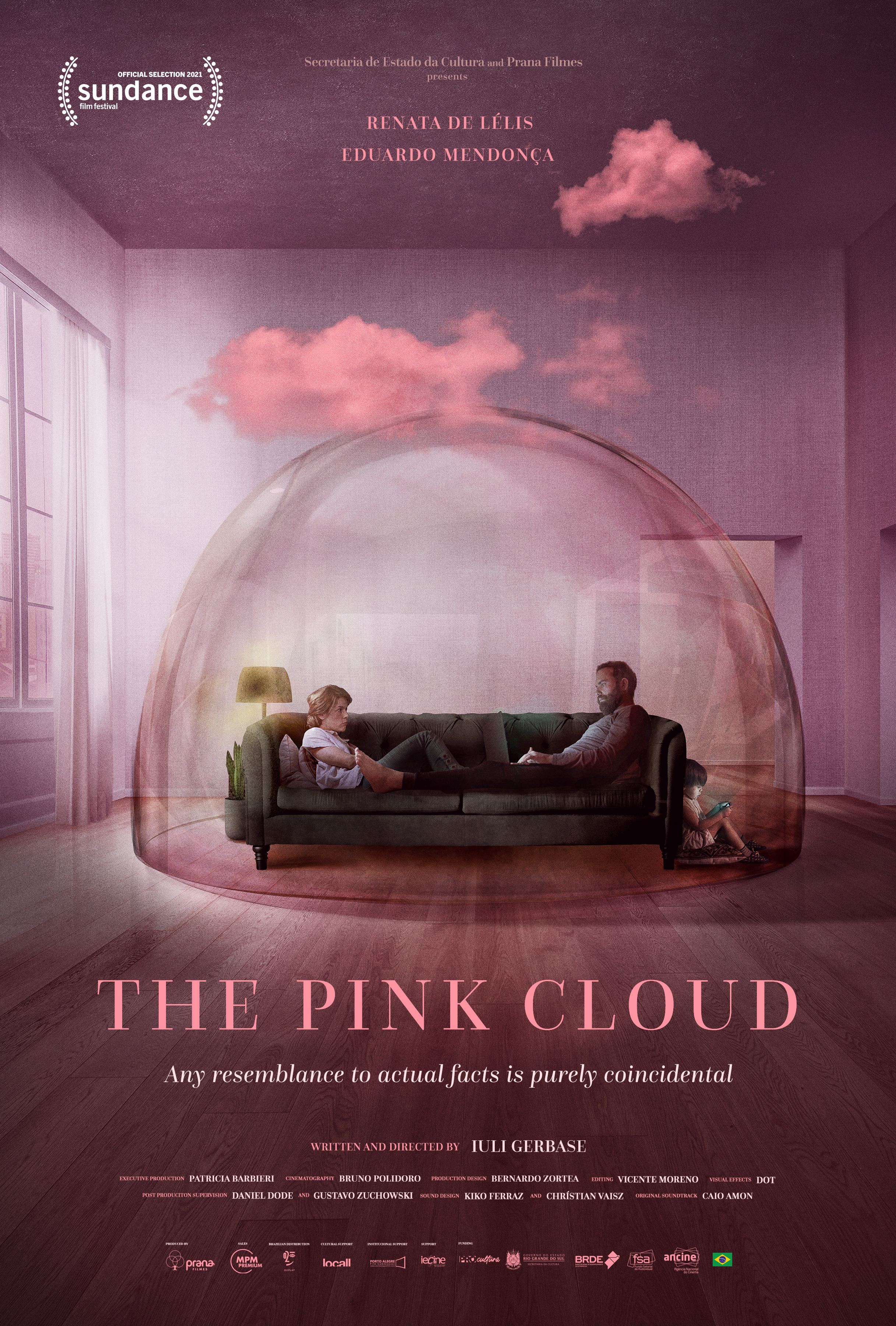 affiche du film The pink cloud