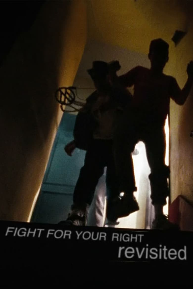 affiche du film Fight for Your Right Revisited