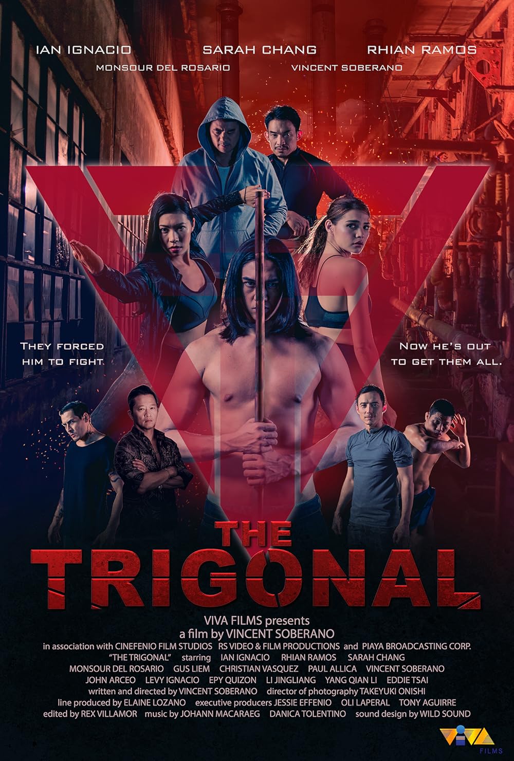 affiche du film The Trigonal: Fight for Justice