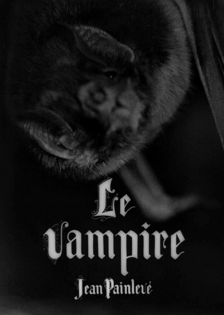 affiche du film Le vampire