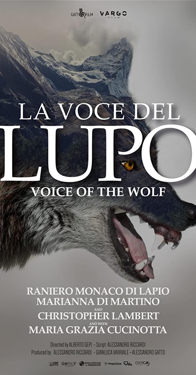 affiche du film La voce del lupo