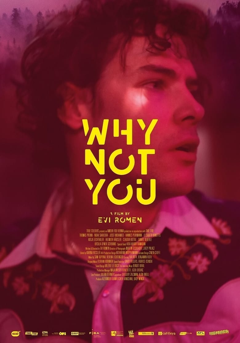 affiche du film Why Not You