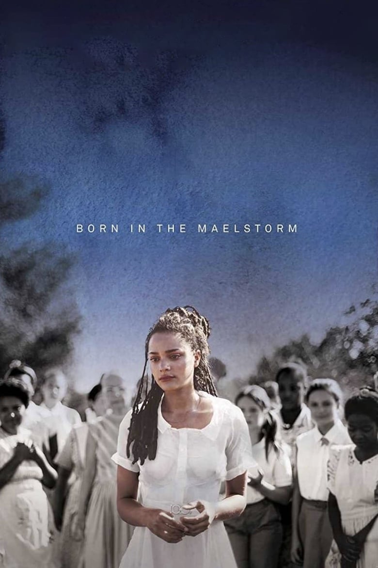 affiche du film Born in the Maelstrom